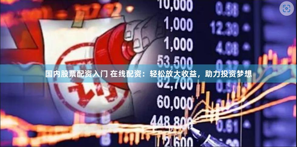 国内股票配资入门 在线配资：轻松放大收益，助力投资梦想