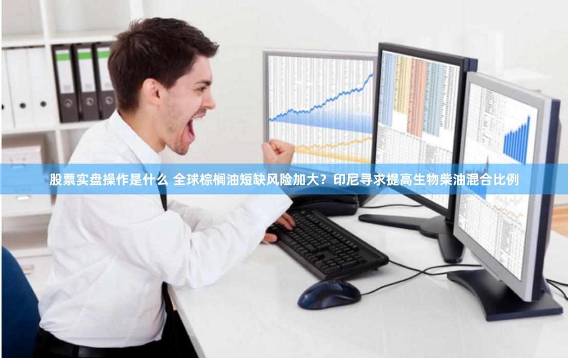 股票实盘操作是什么 全球棕榈油短缺风险加大？印尼寻求提高生物柴油混合比例