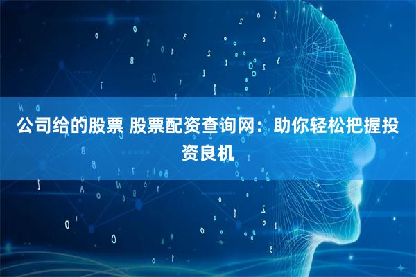 公司给的股票 股票配资查询网：助你轻松把握投资良机