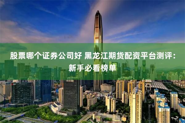 股票哪个证券公司好 黑龙江期货配资平台测评：新手必看榜单