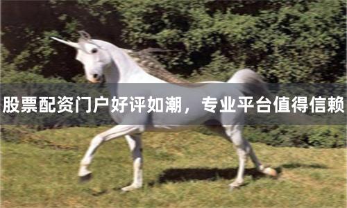 股票配资门户好评如潮，专业平台值得信赖