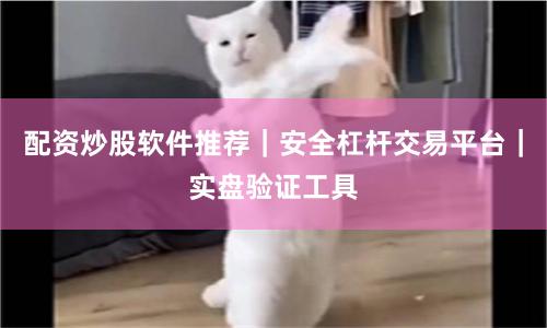配资炒股软件推荐｜安全杠杆交易平台｜实盘验证工具